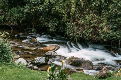 Trogon Lodge