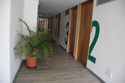 Hotel Plaza El Santuario
