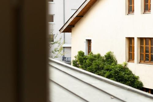 White diamond calme rue Vaugelas - image 3