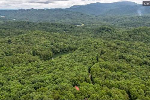 Blue Ridge Bliss- Spacious Cabin, Pets, Hot Tub!