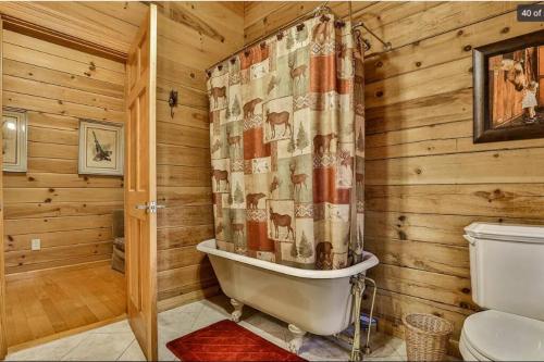 Blue Ridge Bliss- Spacious Cabin, Pets, Hot Tub!