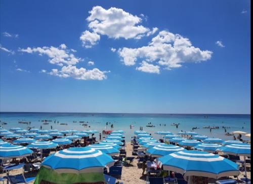 Appartamento Nuovo a 80 mt dalla Spiaggia - image 5