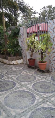 Silay DennisFhin Residence in Silay City