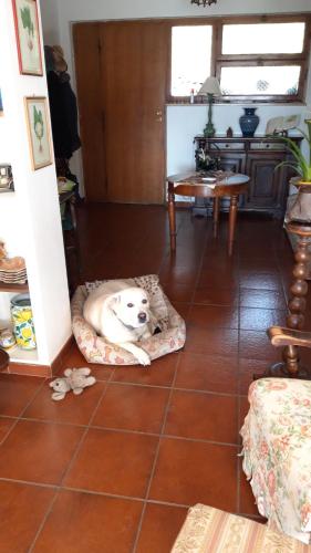 Da Franca