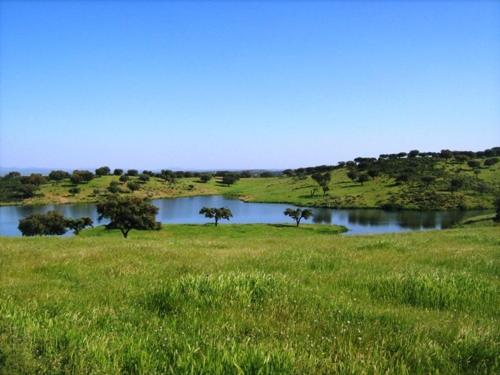 Naveterra-Hotel Rural