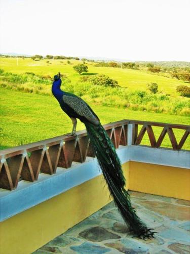 Naveterra-Hotel Rural