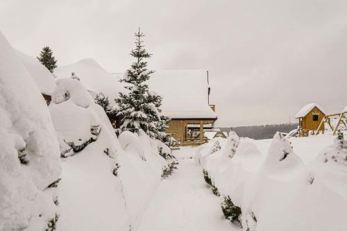 Apkārtne, Domek na Zrąbku Pod Gubałówką (Domek na Zrabku Pod Gubalowka) in Nowe Bystre
