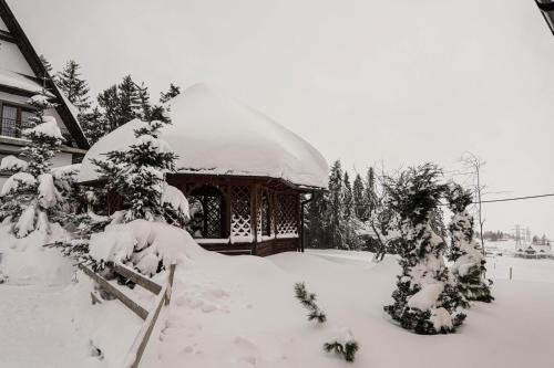 Dārzs, Domek na Zrąbku Pod Gubałówką (Domek na Zrabku Pod Gubalowka) in Nowe Bystre