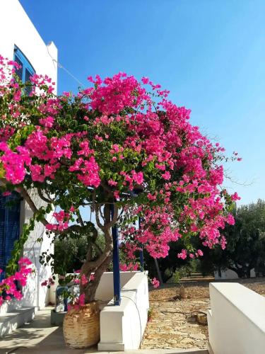 LEROS VILLA BLEFOUTI