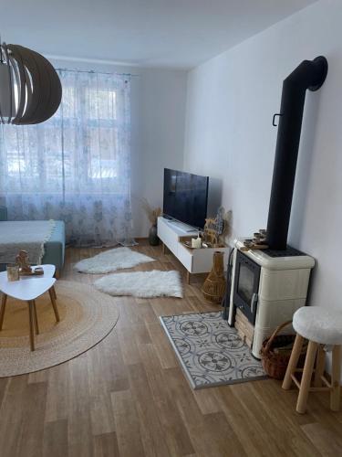 Vila na Kamenci - Apartment - Teplice nad Metují