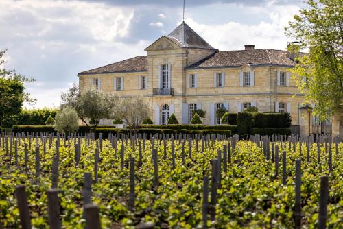 Château du Tertre - image 9