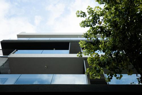 The Rooster's Egg - image 7