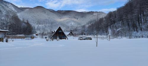 Amonte Transalpina