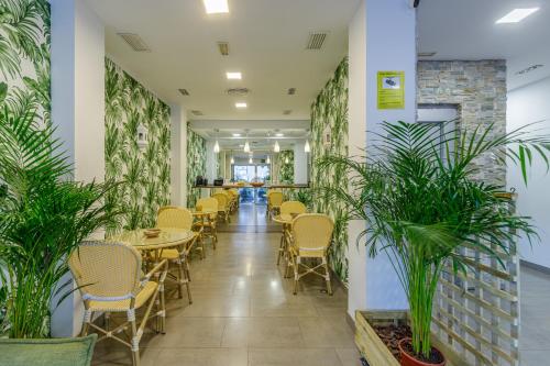 H-A Hotel Trebol, Málaga (fotografie 2)