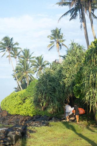 Lotus Surf And Wellness