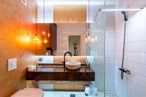 Jacuzzi - Love - BDSM - Extra Luxury - EV chargger - Valentine's Day - Red Room - Flexible SelfCheckIns 28, Záhřeb (fotografie 7)