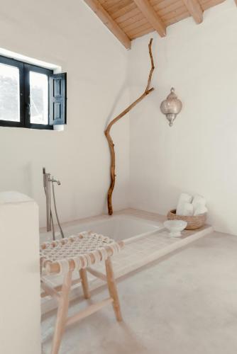 Finca Elements 2