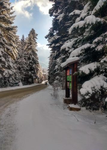 Kolimechkov Apartments Borovets