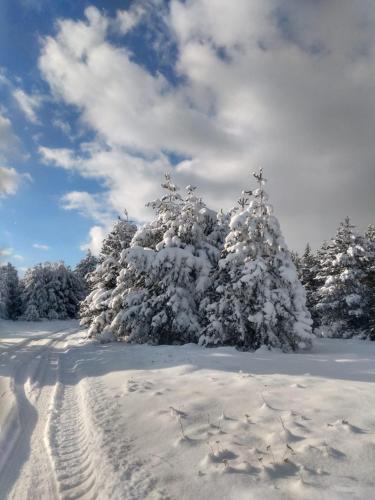 Kolimechkov Apartments Borovets