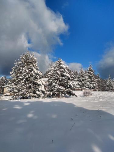 Kolimechkov Apartments Borovets