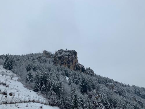 Skats, Acasa in Bicaz-Chei - Camere de inchiriat Cheile Bicazului in Telec