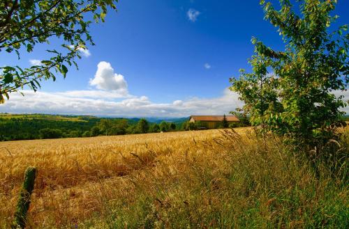 B&B Chomelix - La Reine des Prés - Bed and Breakfast Chomelix