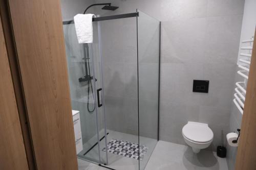 Superior Apartment image 4