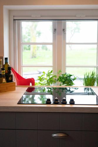 Reetdachhaus, Sauna, E-Bikes, 6 Personen, Osterhever (Foto 9)