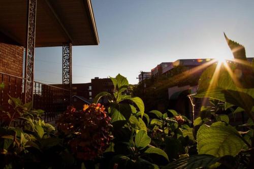 Hilltop Hideaway - 3BDR in Downtown London, KY