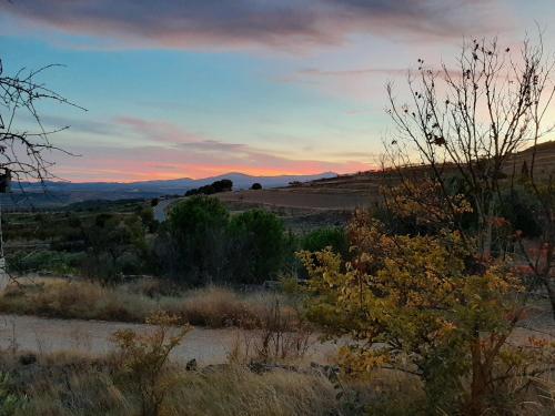 Casa rural "Garnacha de Borja" guest home