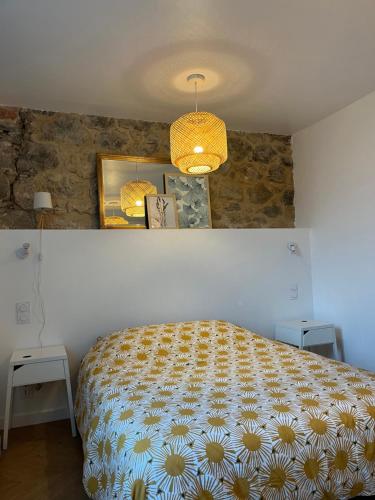 B&B Salles-la-Source - Appartement T2 - Bed and Breakfast Salles-la-Source