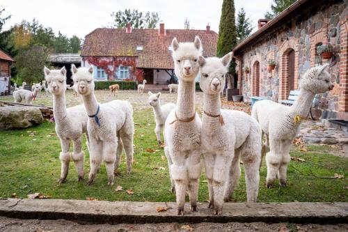 Gościniec Bocianowo