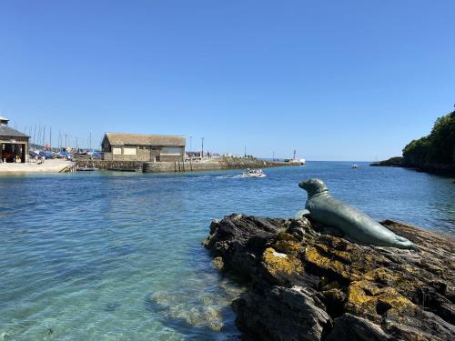 Linhay at East Trenean Farm -Luxury retreat for 2 with stunning rural views, private hot tub and EV charging, Looe (fotografie 10)