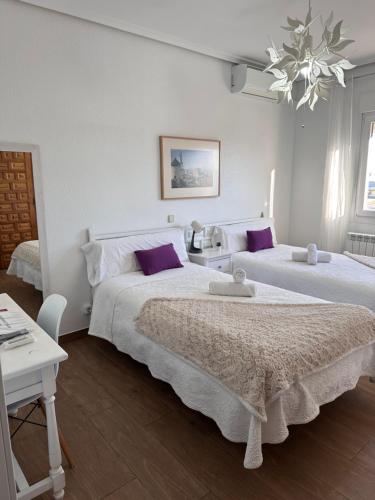 Hotel Consuegra Room Type - Twin Room