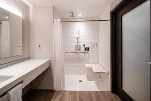 King Room with Transfer Shower - Mobility and Hearing Accessible