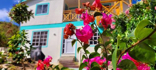 Colorful Garden House