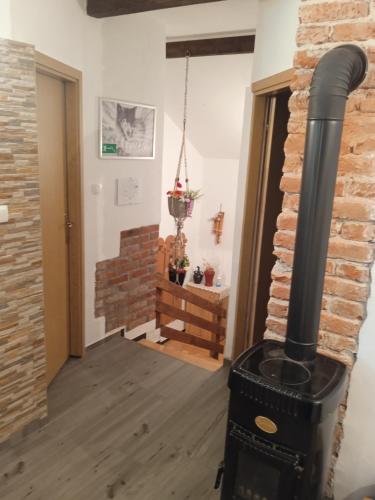 Iekārtas, Family-friendly apartments with swimming pool Plaski, Velebit - 20466 in Plaski