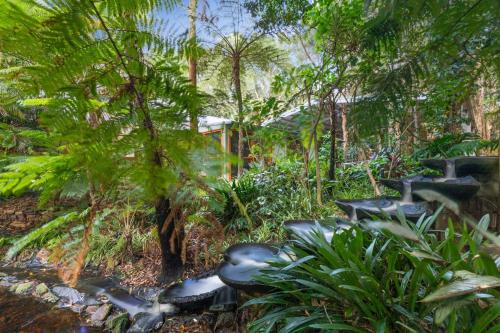 The Oasis at One Mile Beach, Nelson Bay (fotografie 10)