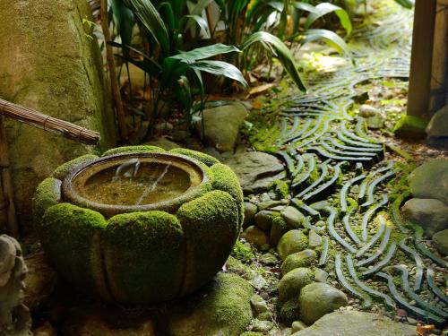 타이쇼야의 주변 풍경사진