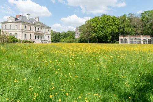 Chateau du Hallay