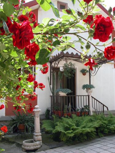 Pensiunea Sub Cetate Deva Pensiunea Sub Cetate Deva