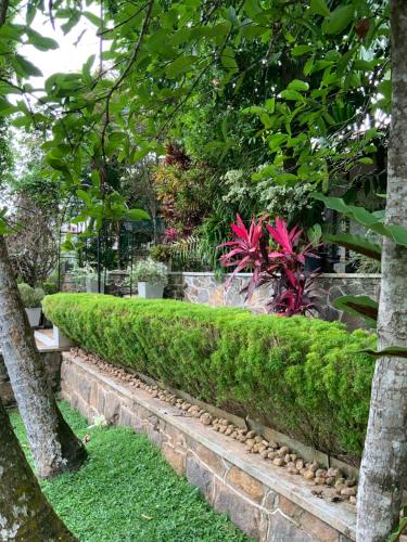 Lali Villa & Fruit Garden