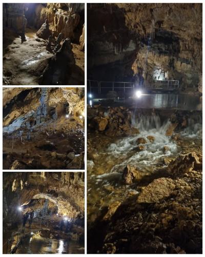 Apartman Orhideja Apartman Orhideja