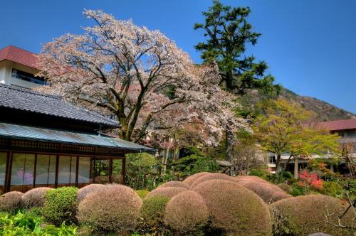 花園, 吉池日式旅館 (Yoshiike Ryokan) in 箱根