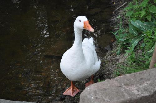 霍顿住宿加早餐旅馆 霍顿住宿加早餐旅馆