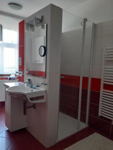 Bathroom, Apartman Na Kamenu in Frydlant