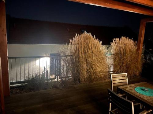 Palava eu 10 obrázok