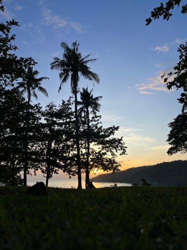 Virly’z Top View Resort