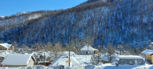 Vili Bilyana in Crni Vrh