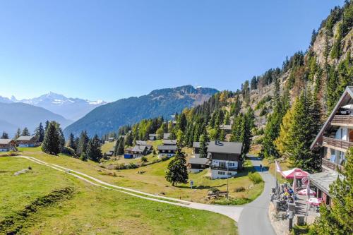 Adler 30, Riederalp (photo 2)